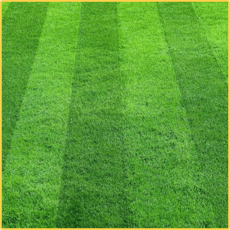 Commercial sod installation