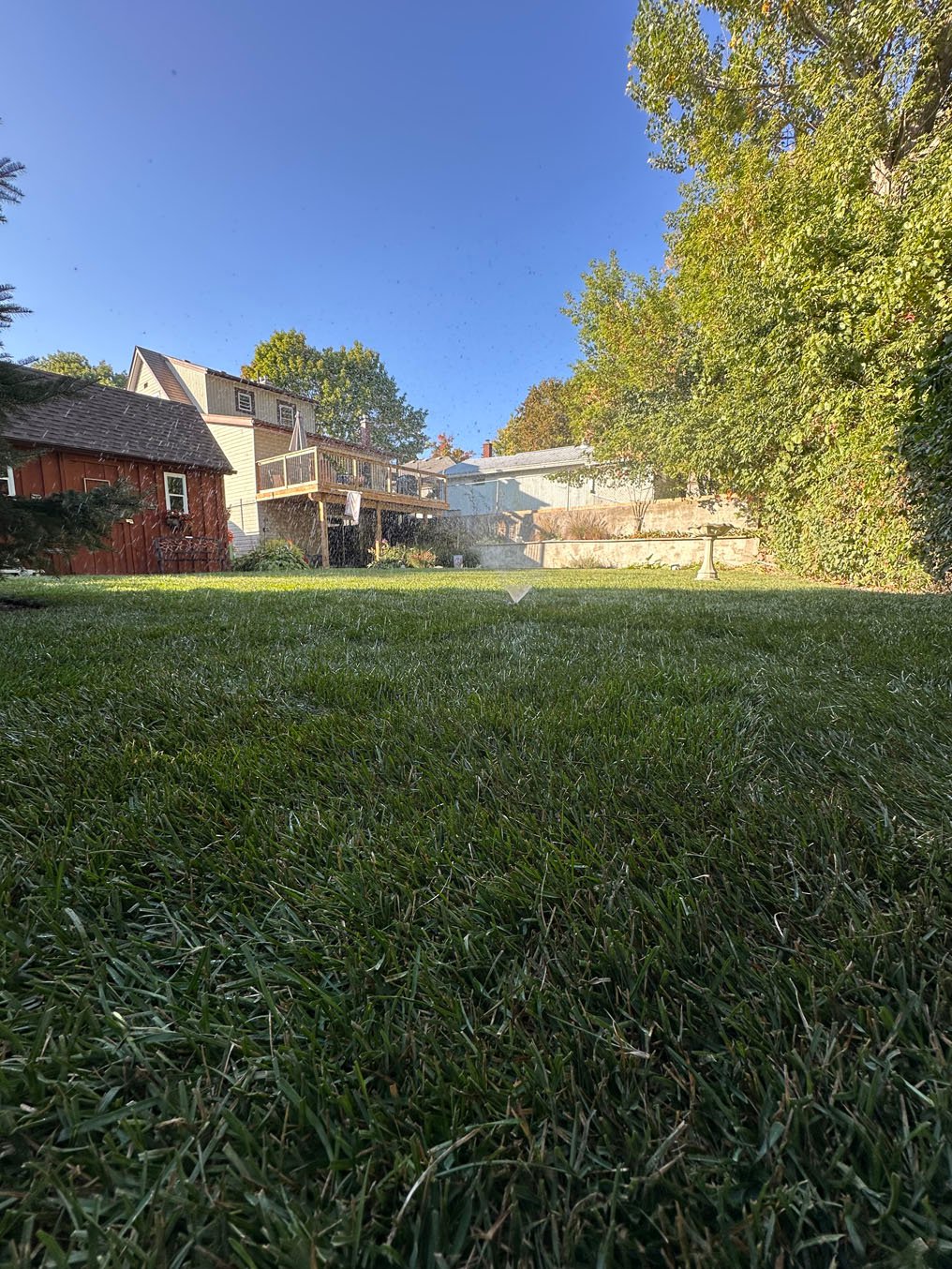 Expert finish work with  fertilization in kitchener