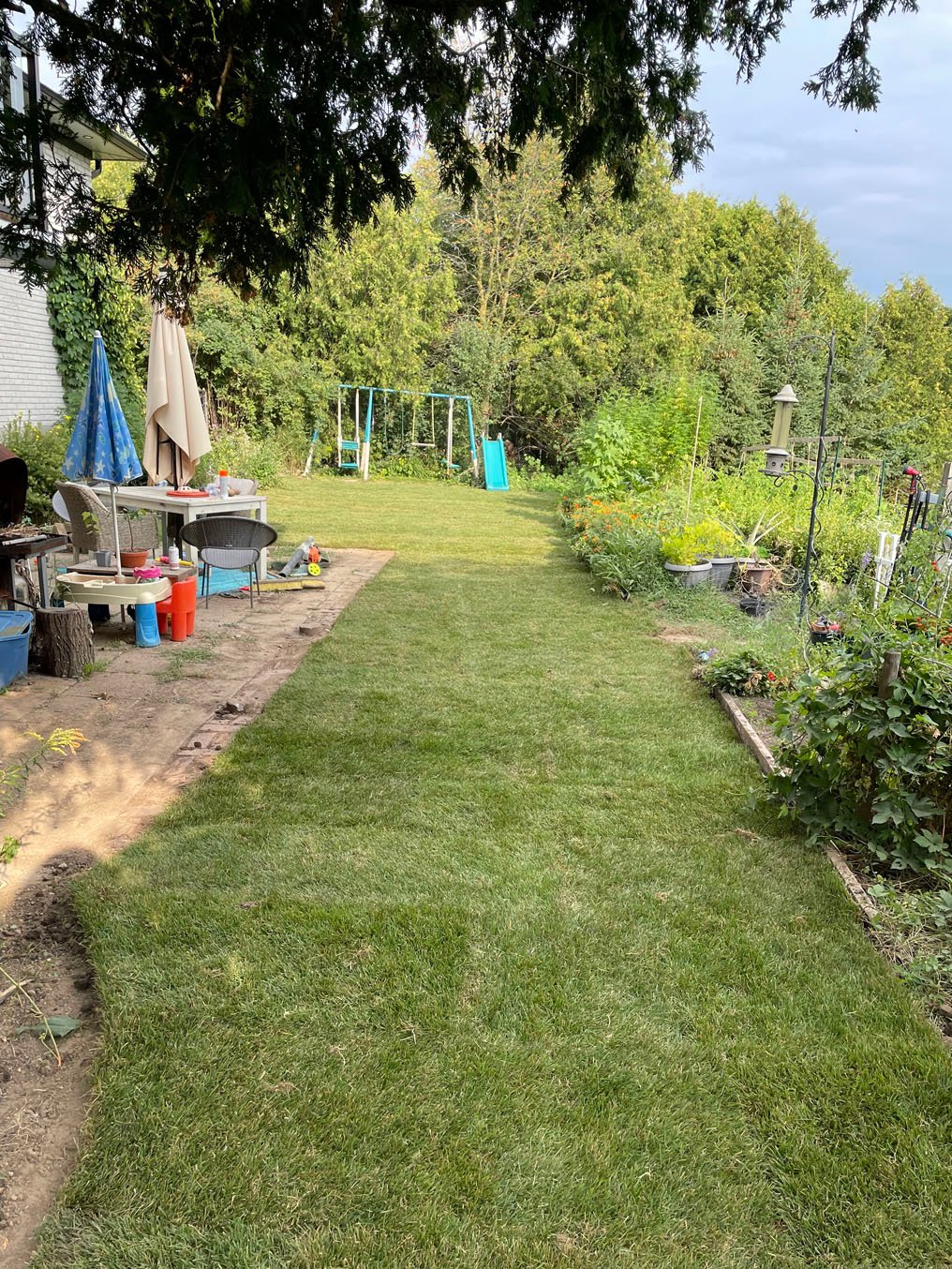 Grub control in Guelph