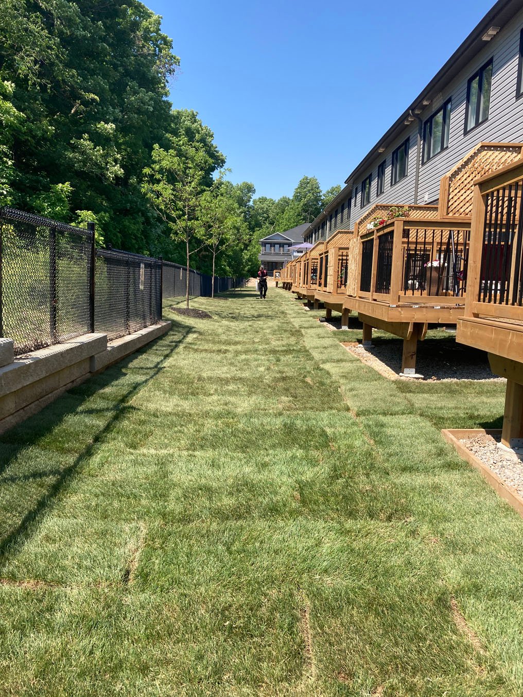 Turf Recovery & Repair