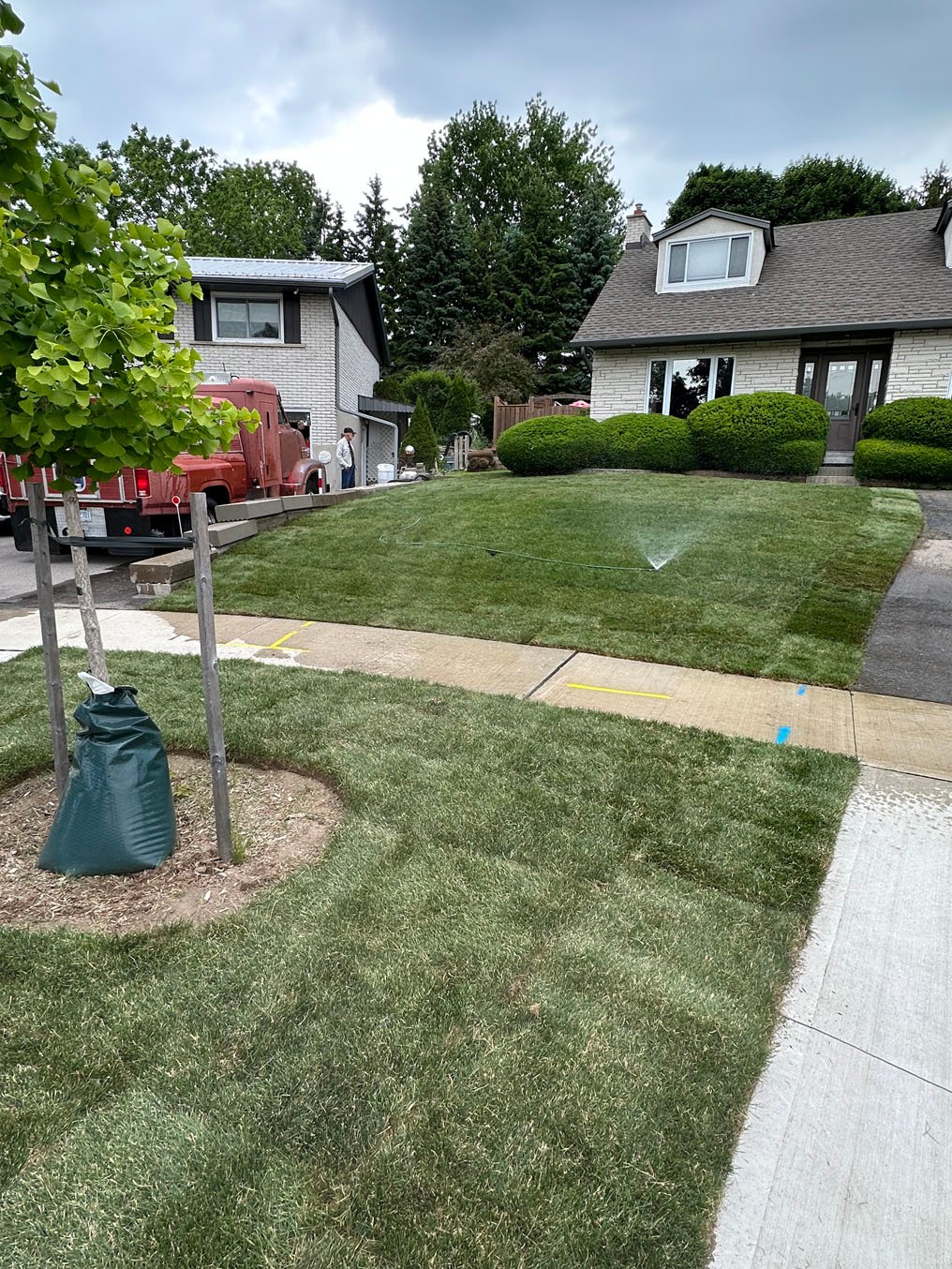Sod installation after grading