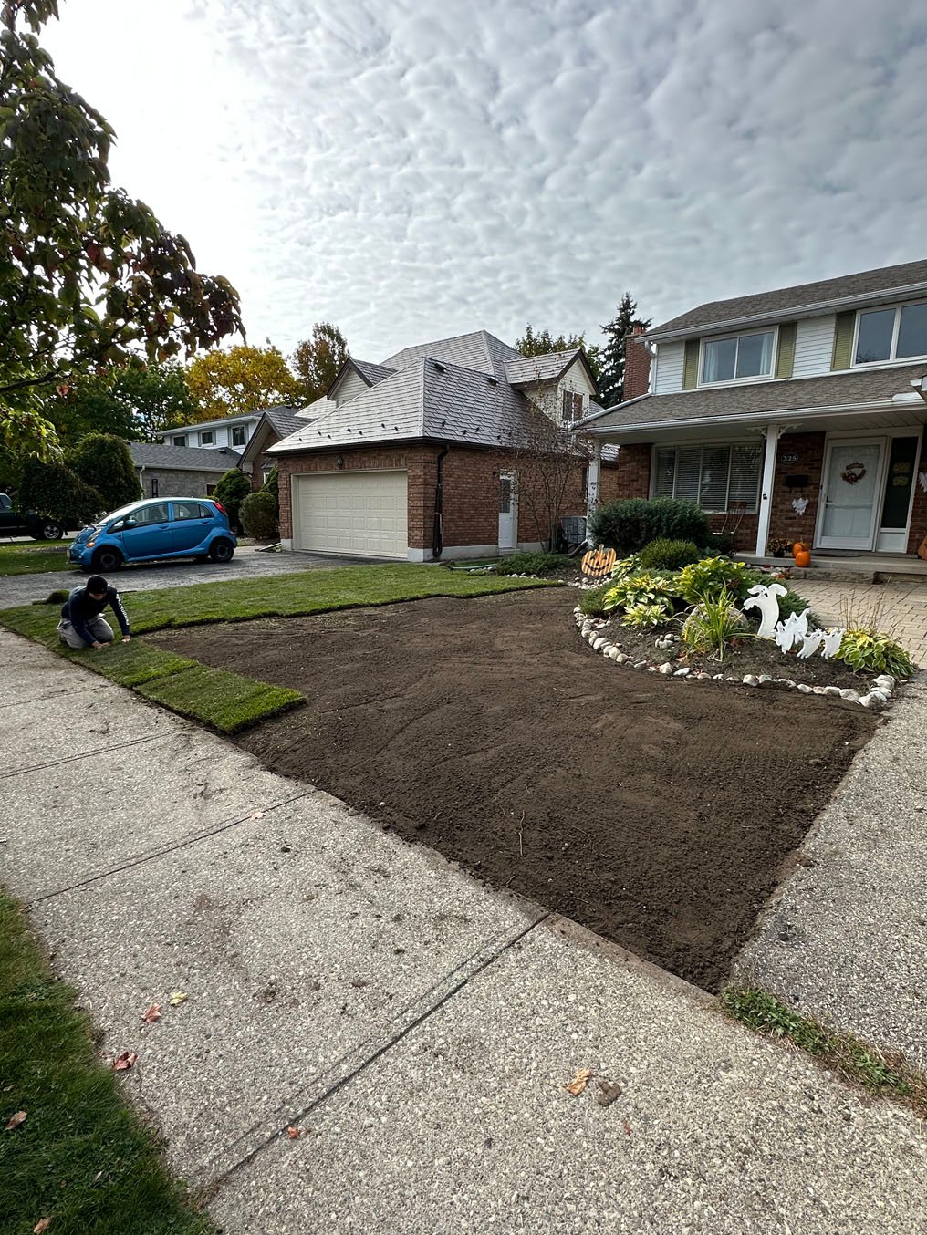 Lawn fertilization services