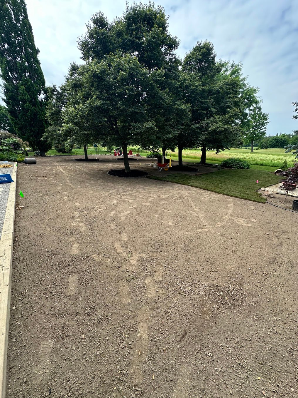 Complete Old Lawn Tear-Out & Disposal in Woolwich