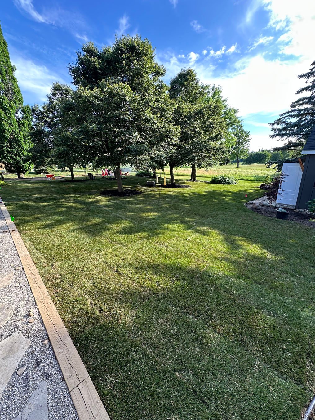 Sod installation in woolwich