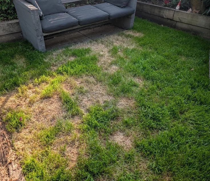 Complete old lawn tear-out and disposal to prepare for sod installation doon south homeowner.