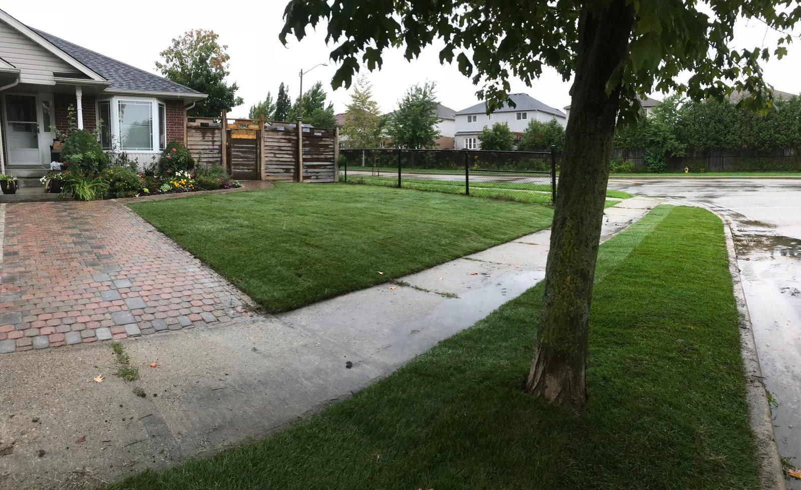 Sod Installation Hespeler 5 Topsoil grading and weed removal site preparation before sodding in Hespeler.