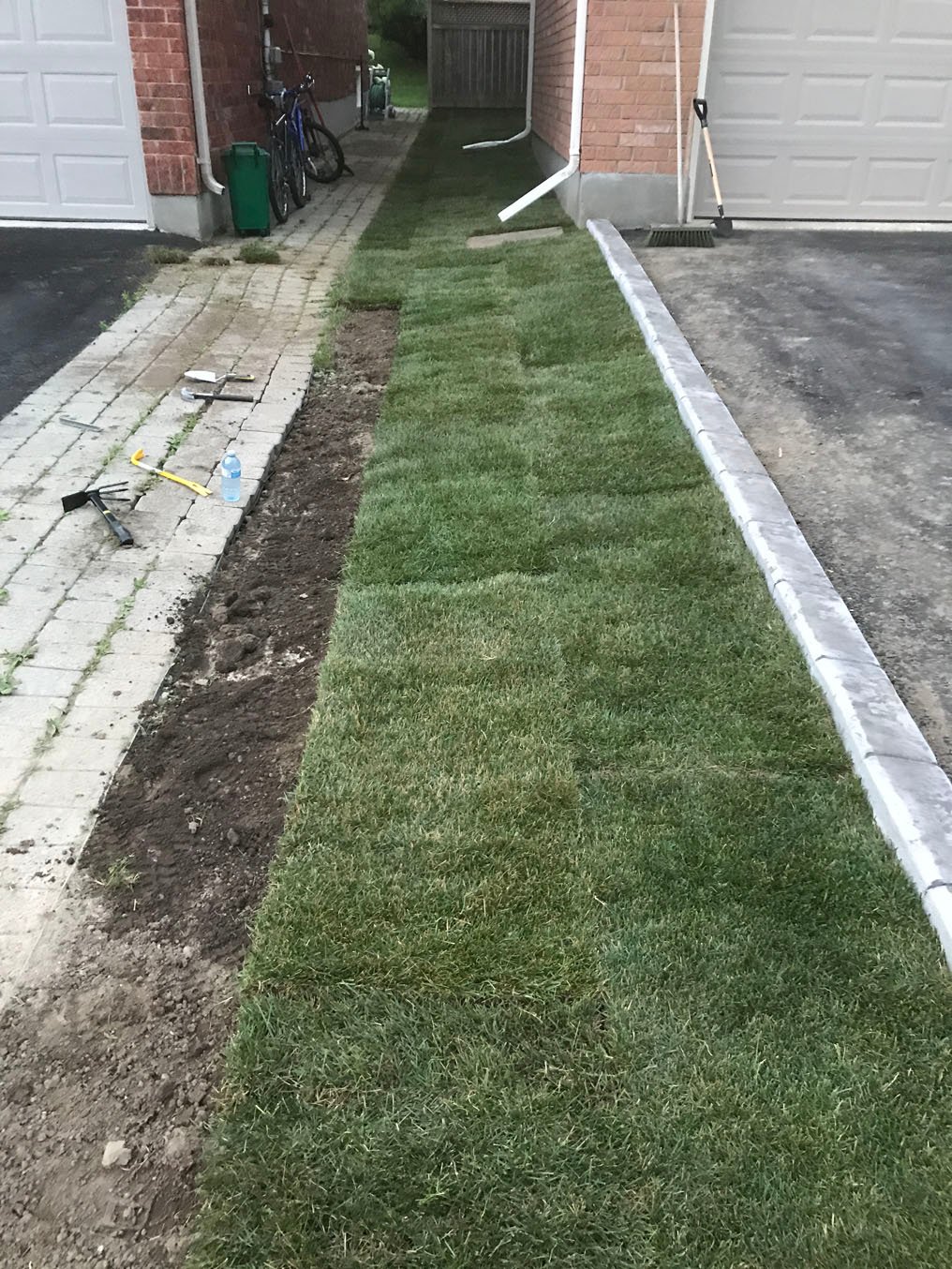 Sod Installation Galt 6 Freshly laid rolls of sod on a residential lawn in Galt, Cambridge.