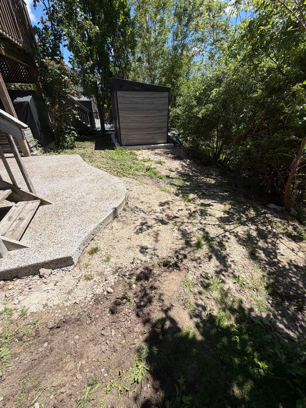 Sod Installation On Brisbane Drive, Kitchener 1 Bare, weedy ground beside the deck of a two-storey brick home on Brisbane Drive, Kitchener, before sod installation
