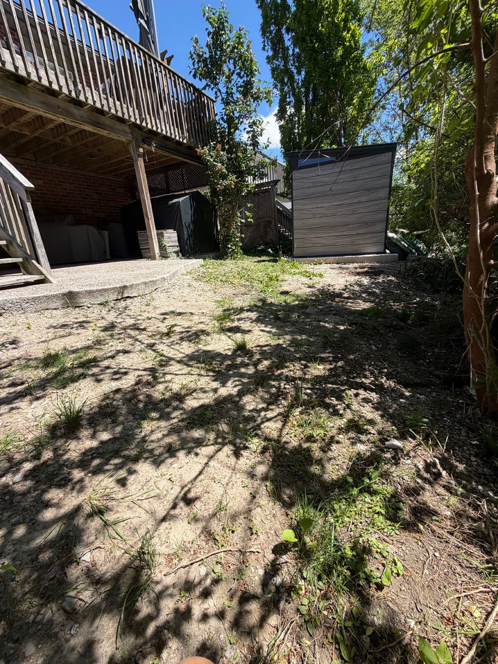 Sod Installation On Brisbane Drive, Kitchener 2 Packed bare ground with scattered weeds under the deck and out to the shed at the Brisbane Drive, Kitchener job