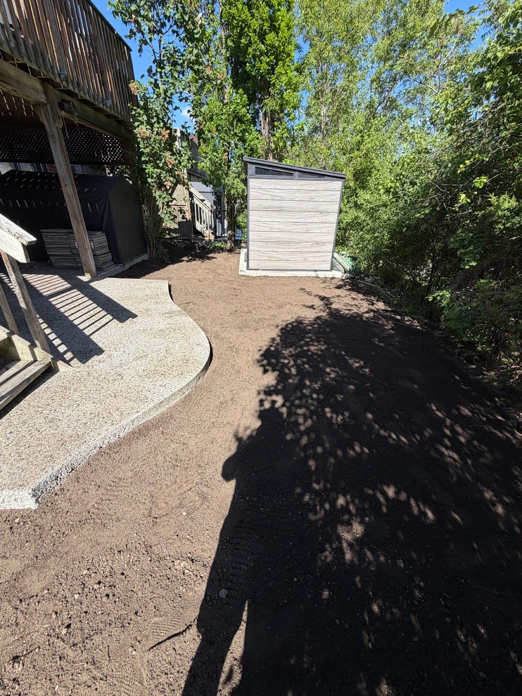 Spring Sod Installation Checklist for Strong Roots 1 Fresh dark topsoil graded across the back yard toward the shed at a Brisbane Drive home in Kitchener