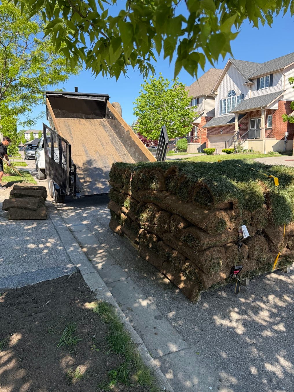 Sod Installation On Brisbane Drive, Kitchener 9 Pallet of Kentucky bluegrass sod rolls delivered to the curb on Brisbane Drive, Kitchener, dump trailer tipping behind