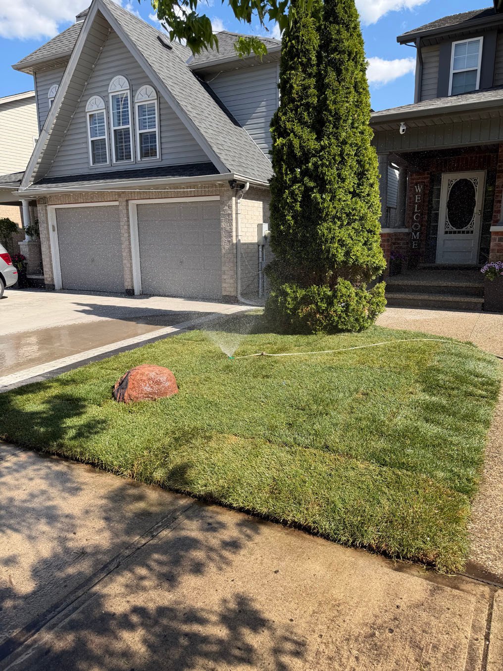 Sod Installation On Brisbane Drive, Kitchener 5 Sprinkler watering in the new sod on the front strip beside the driveway of a Brisbane Drive home in Kitchener
