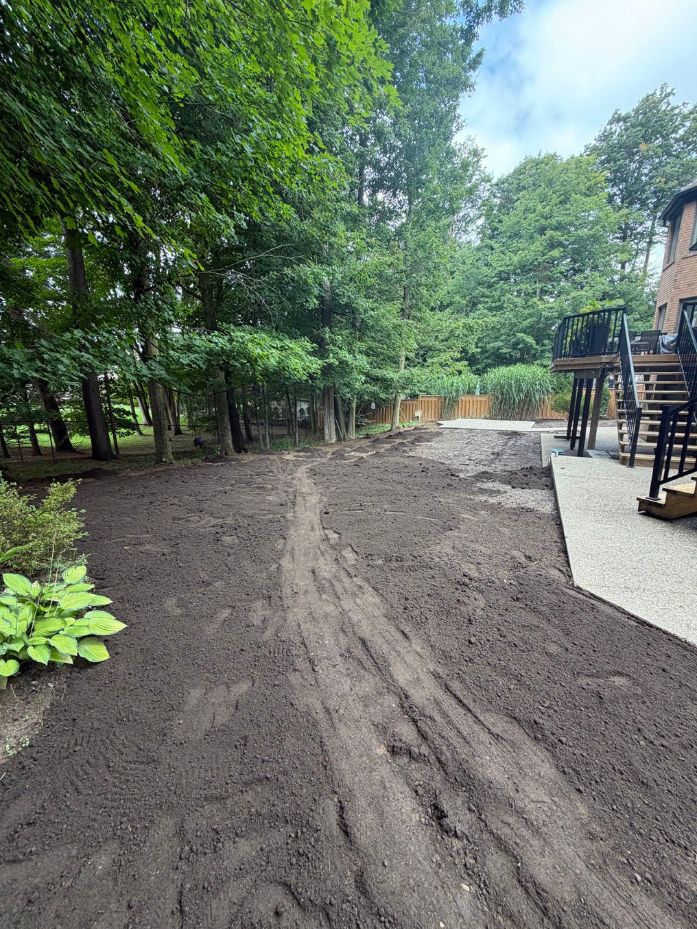 Sod Installation On Carrington Place, Waterloo 3 Fresh topsoil graded along the walkway and across the back yard on Carrington Place, Waterloo