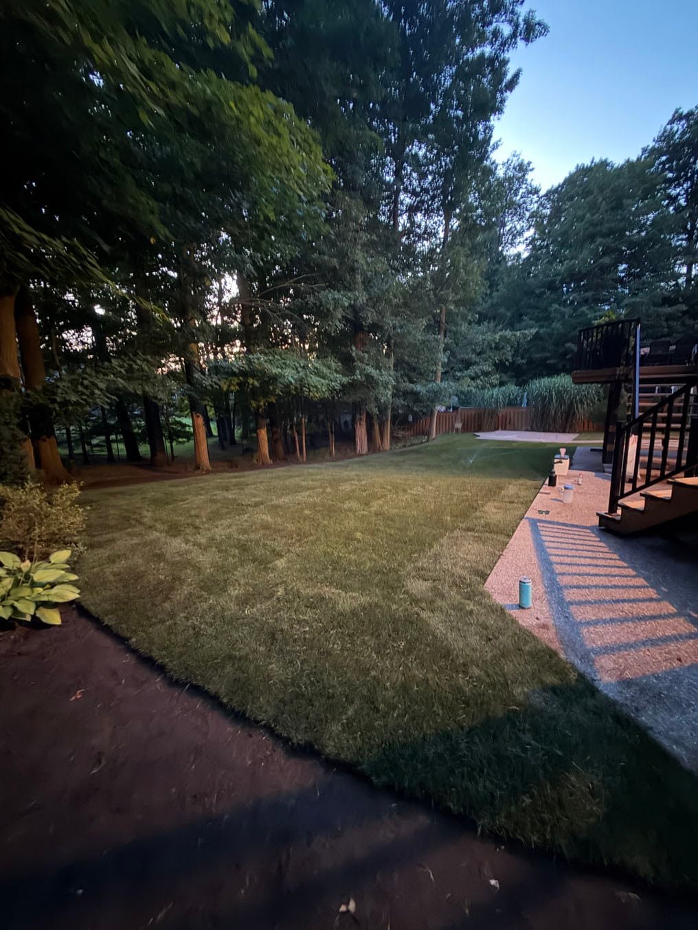Sod Installation On Carrington Place, Waterloo 4 New Kentucky bluegrass sod laid across the back yard to the patio at dusk on Carrington Place, Waterloo