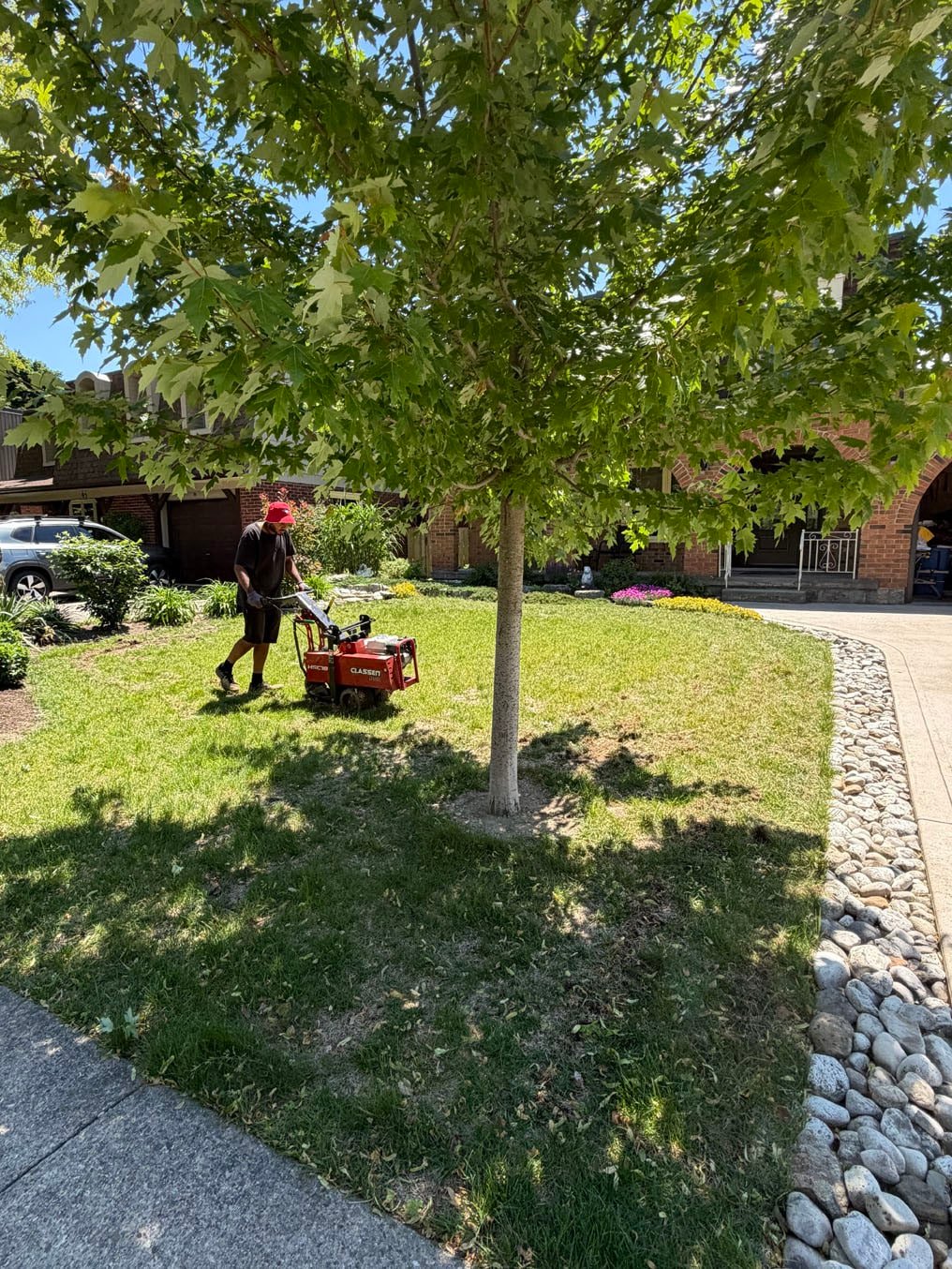 Sod Installation In Centreville Chicopee, Kitchener 7 Crew running a sod cutter along the driveway edge of a thin front lawn in Centreville Chicopee, Kitchener