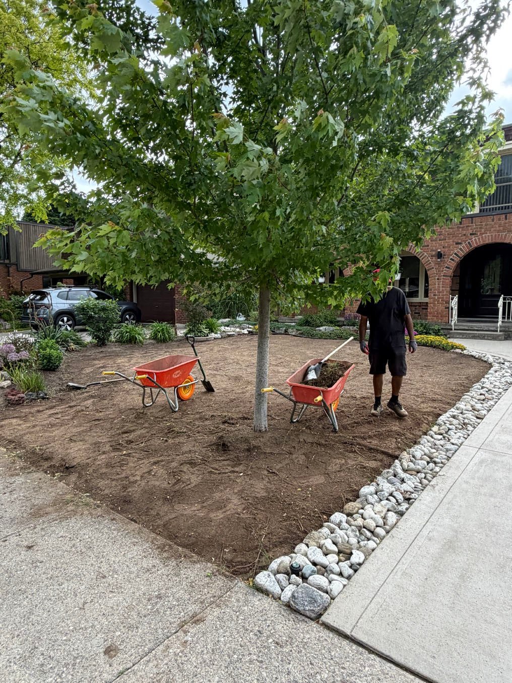 Sod Installation In Centreville Chicopee, Kitchener 2 Old turf stripped from the corner lawn in Centreville Chicopee, Kitchener, crew with a wheelbarrow by the river-rock border