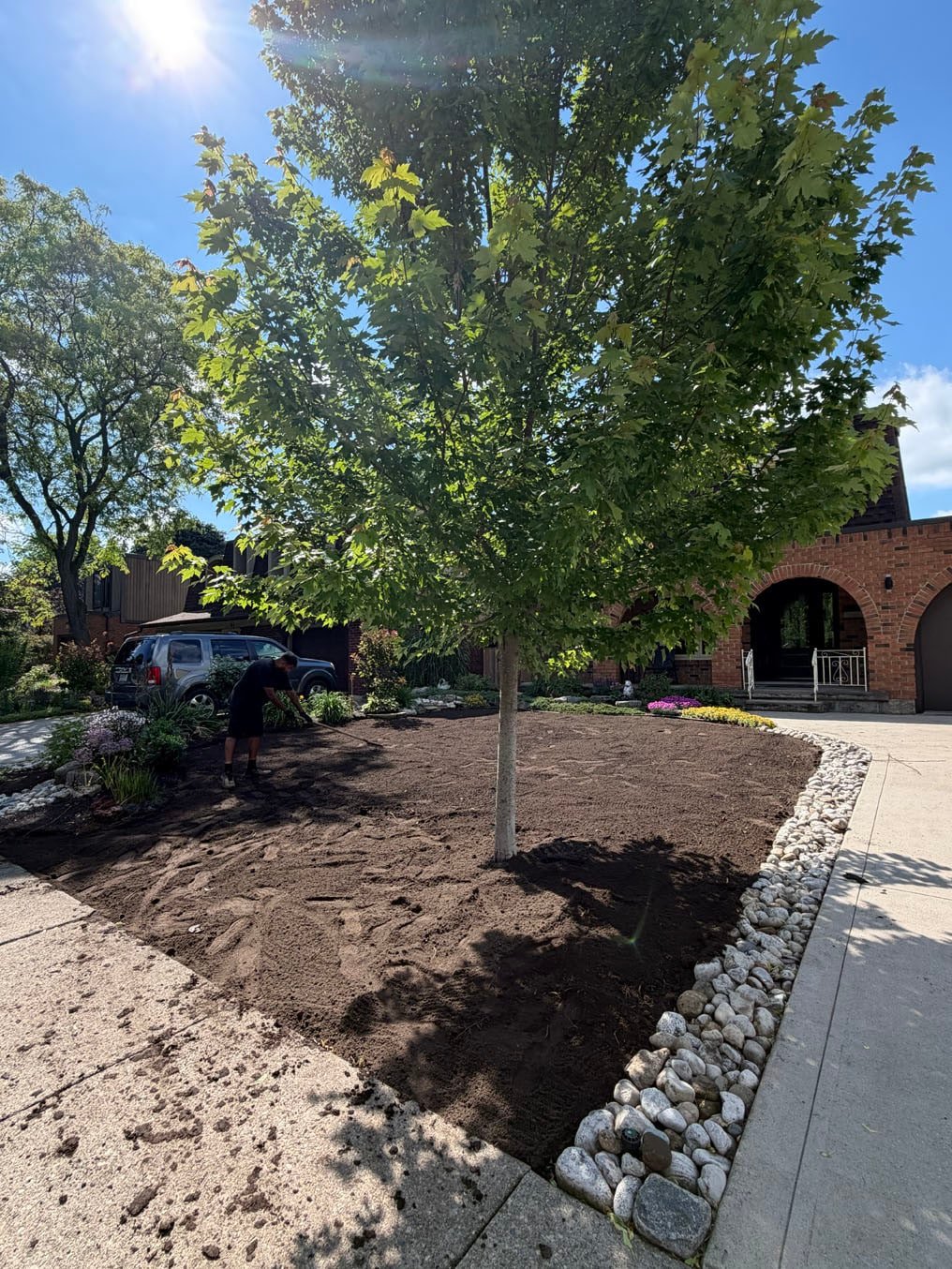 Sod Installation In Centreville Chicopee, Kitchener 3 Fresh topsoil graded around the maple and out to the river-rock border in Centreville Chicopee, Kitchener