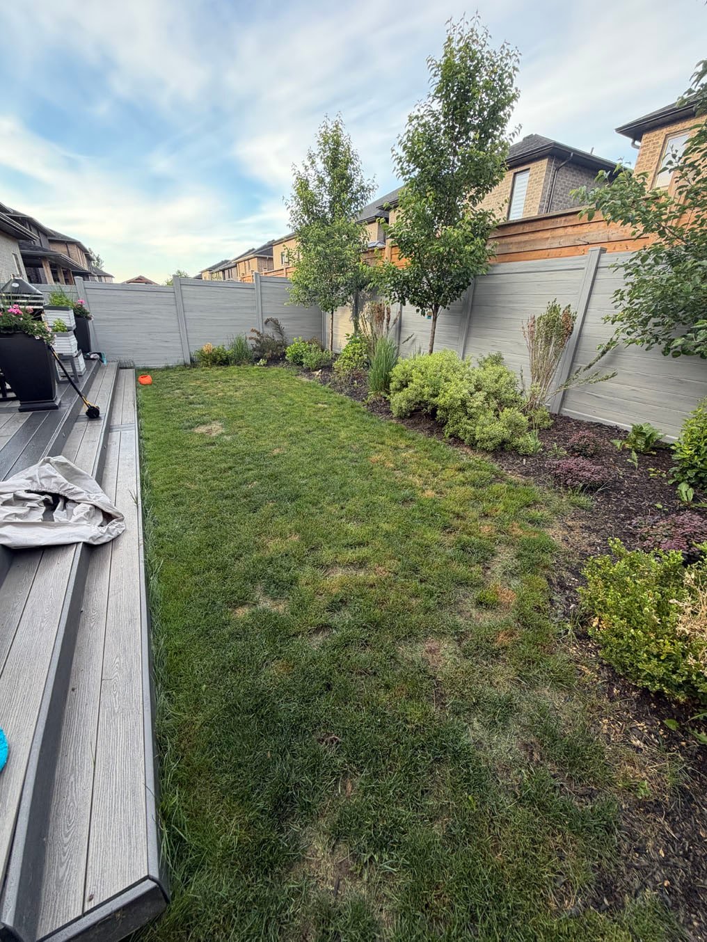 Sod Installation In Doon South, Kitchener 6 Thin, patchy backyard lawn between a raised deck and a shrub border along the fence in Doon South, Kitchener, before sod replacement