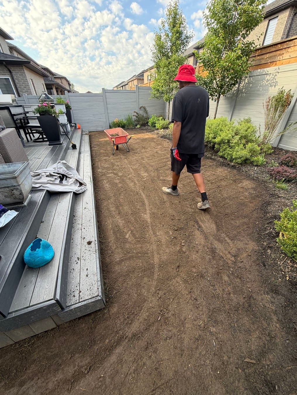 Sod Installation In Doon South, Kitchener 8 Crew member crossing the stripped backyard in Doon South, Kitchener, the old turf out and bare soil from the deck to the fence