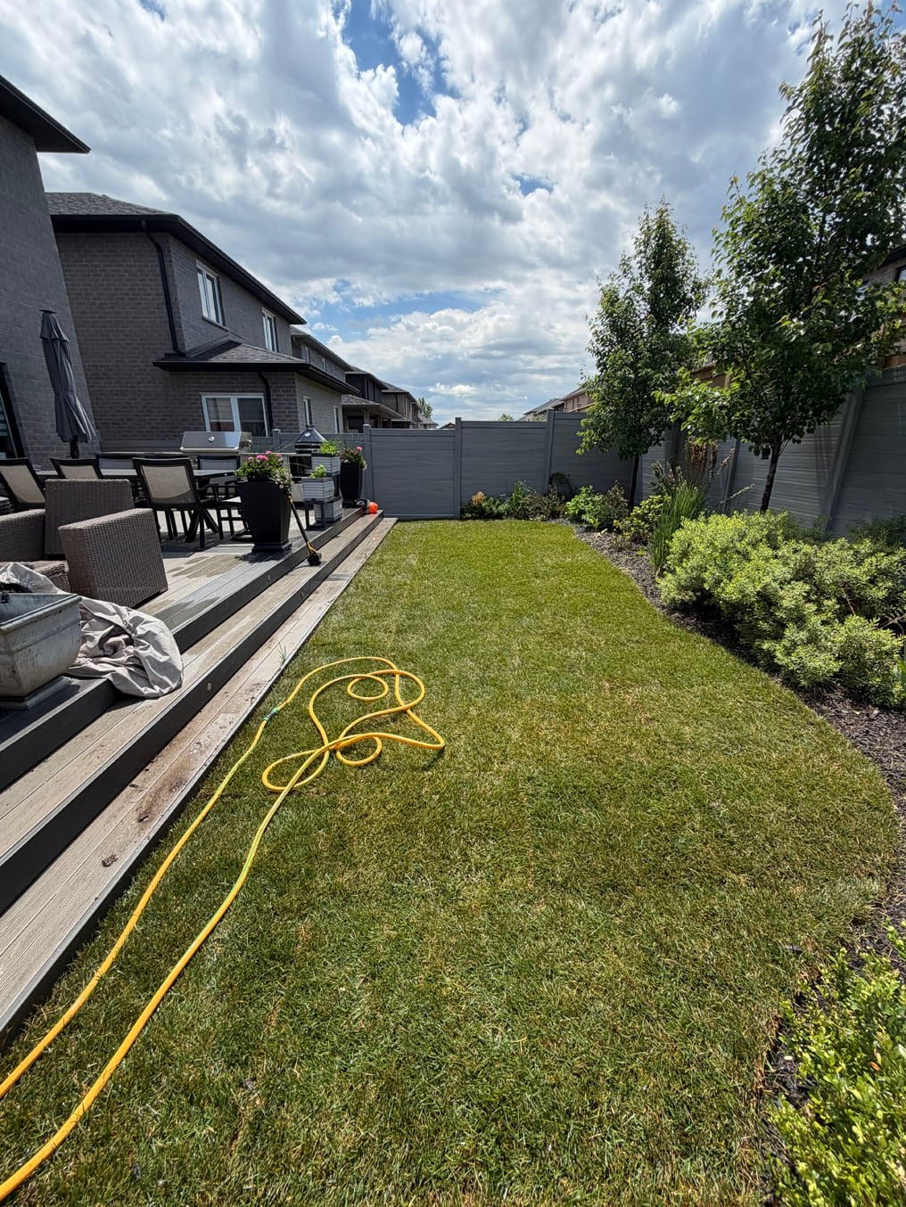 Sod Installation In Doon South, Kitchener 12 New Kentucky bluegrass sod laid across the Doon South, Kitchener backyard below the deck, yellow hose out for the first watering