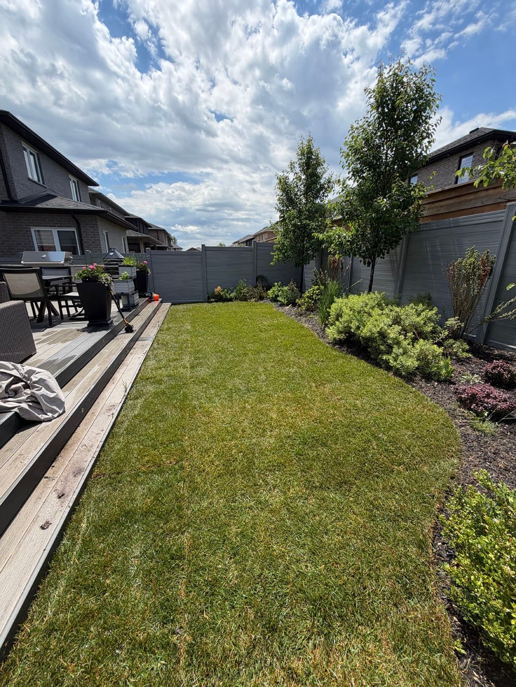 Sod Installation In Doon South, Kitchener 13 Finished Kentucky bluegrass sod lawn in Doon South, Kitchener, fitted to the deck edge and the curve of the shrub border along the fence