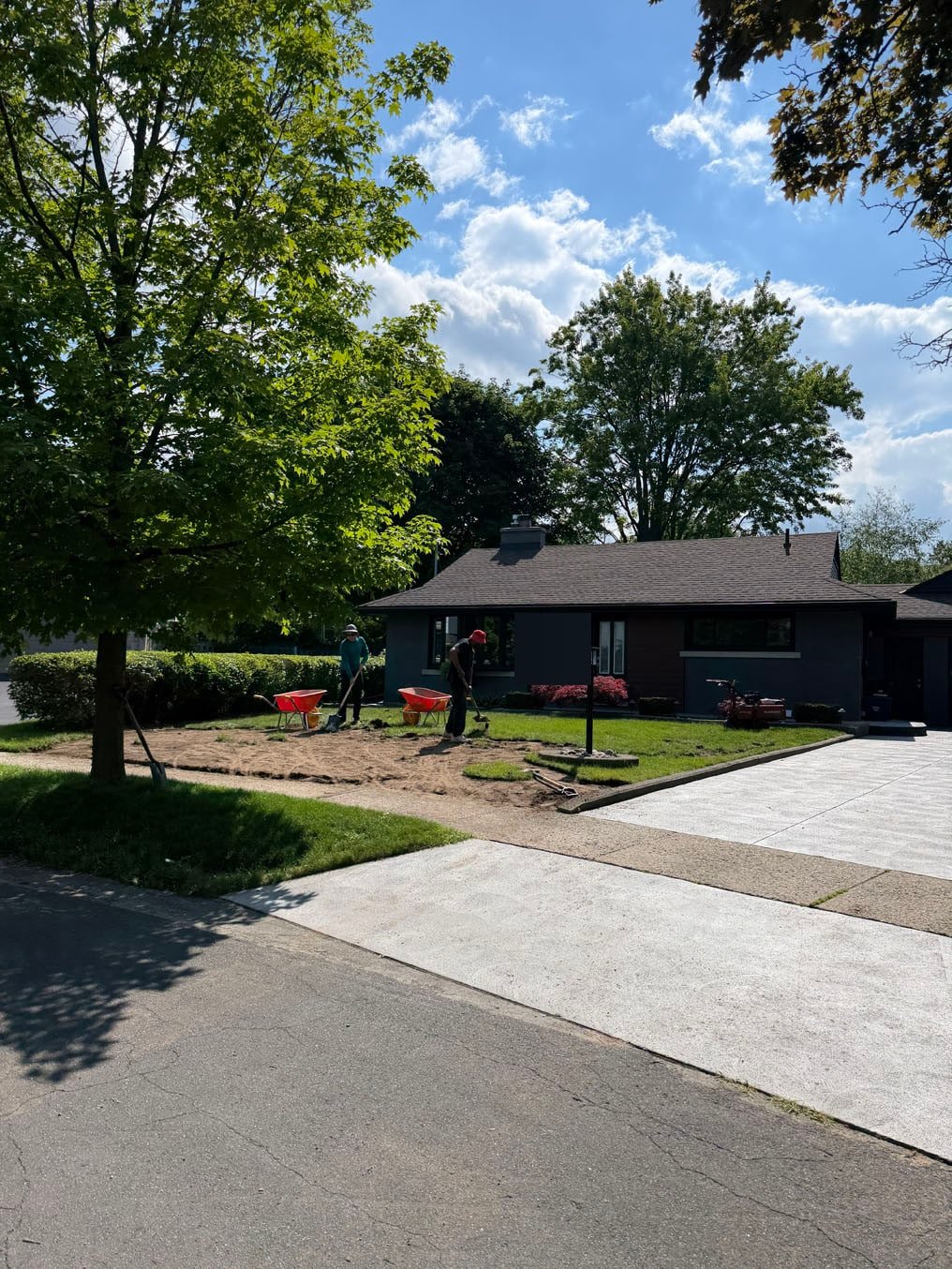 Crew starting a sod cutter on the thin front lawn of a grey brick bungalow in Fairfield, Kitchener