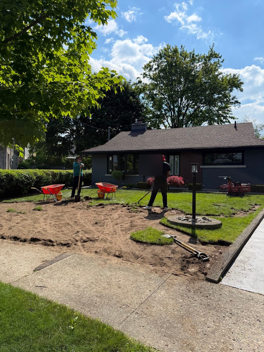Old turf being cut and barrowed off the front lawn of a bungalow in Fairfield, Kitchener