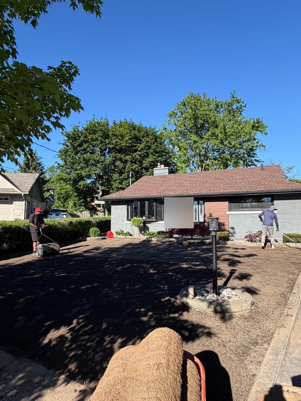 Crew laying Kentucky bluegrass sod rolls across the front lawn of a bungalow in Fairfield, Kitchener