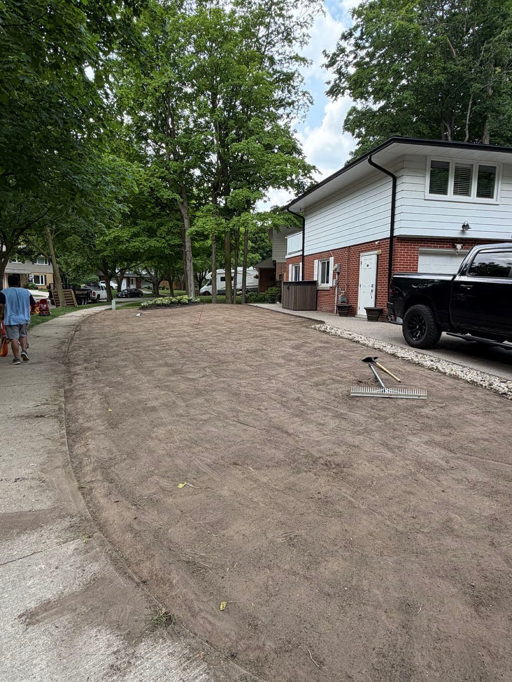 Front lawn stripped to bare ground from the house to the sidewalk with a rake on the soil, Forest Hills, Kitchener