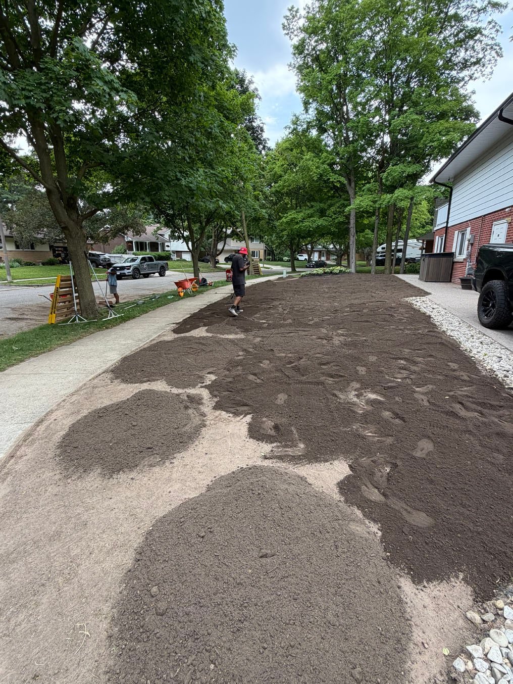 Fresh topsoil spread across the front lawn toward the sidewalk, wheelbarrow at the curb, Forest Hills, Kitchener