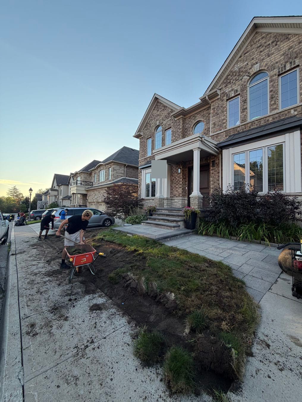 Front Lawn Sod Replacement In Grand River South, Kitchener 2 Old turf going into the wheelbarrow beside the walkway of a two-storey brick home in Grand River South, Kitchener