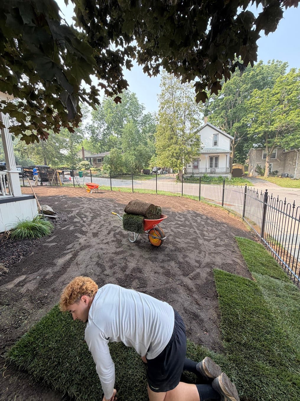 Installer on his knees laying the first rolls of Kentucky bluegrass sod by the porch in Hespeler, Cambridge, graded topsoil behind