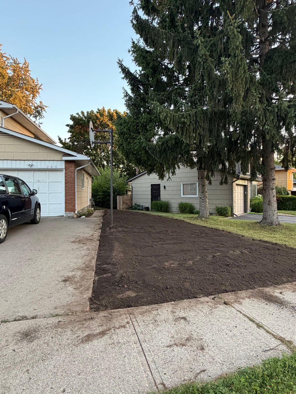 Sod Installation in Laurentian Hills, Kitchener 9 Graded topsoil beside the driveway under the spruce at the Laurentian Hills, Kitchener job, the evening before sod day