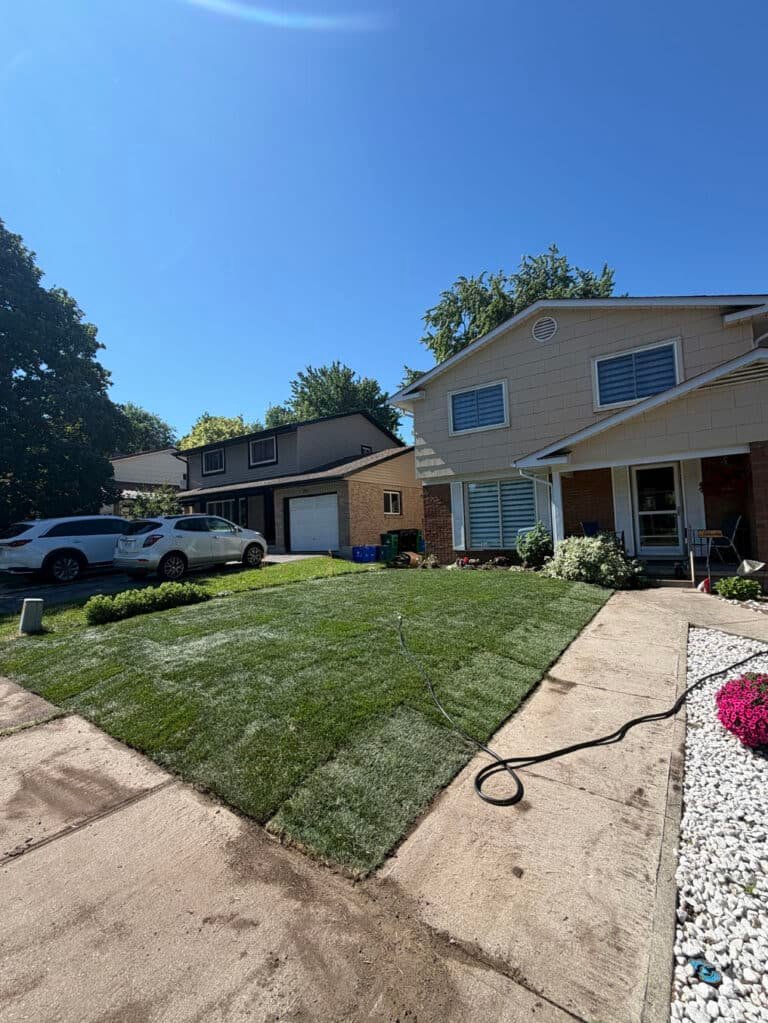 Freshly laid sod across the front lawn of the Laurentian Hills, Kitchener home, hose out for the first watering