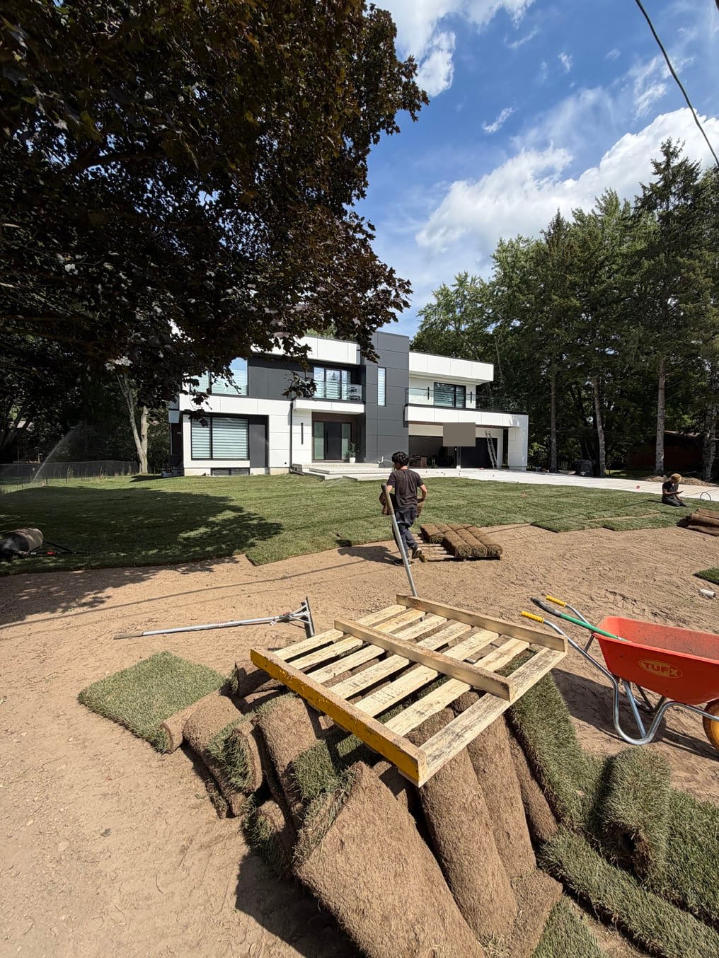 Sod Installation On Lexington Crescent, Waterloo 13 Crew carrying and laying sod rolls across the front lawn of the Lexington Crescent, Waterloo home, pallet and wheelbarrow in front