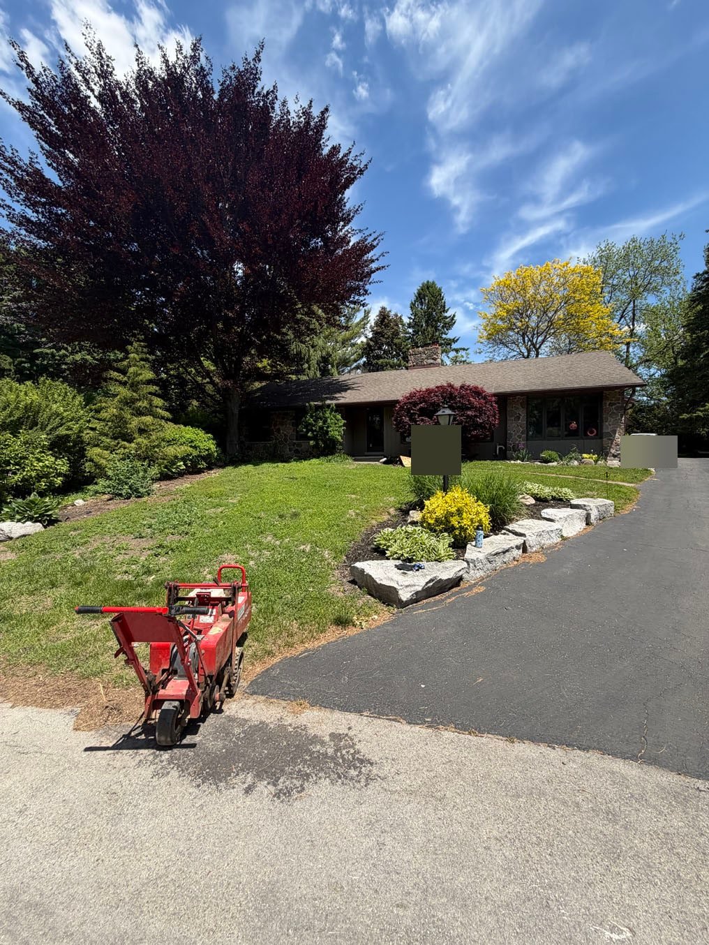 Front Lawn Sod Replacement In Pioneer Tower West, Kitchener 1 Thin front lawn under a mature maple with the sod cutter parked on the driveway of a stone-and-siding bungalow in Pioneer Tower West, Kitchener