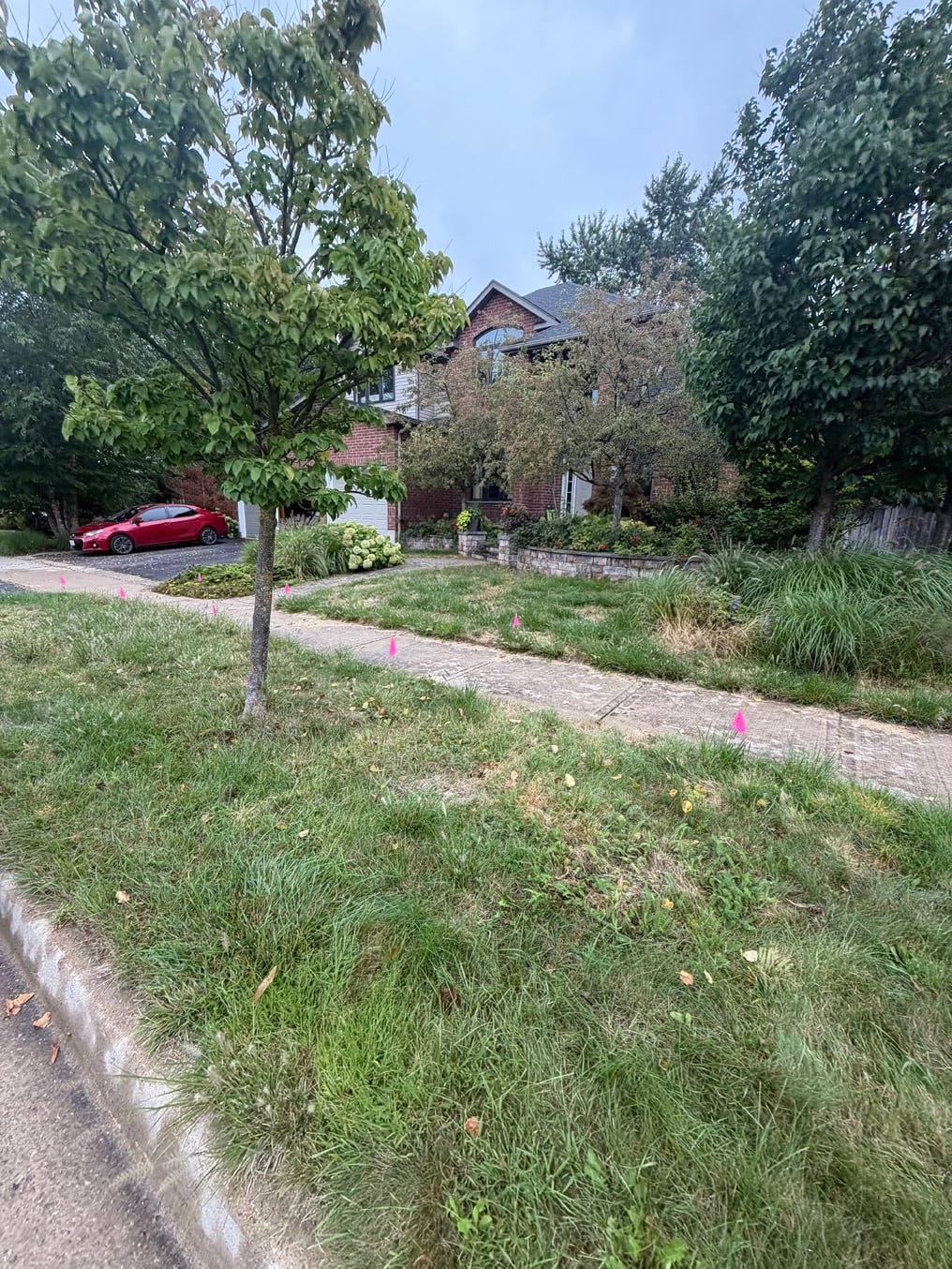 Weedy, overgrown front lawn on our first visit to a two-storey brick home in Pioneer Tower West, Kitchener