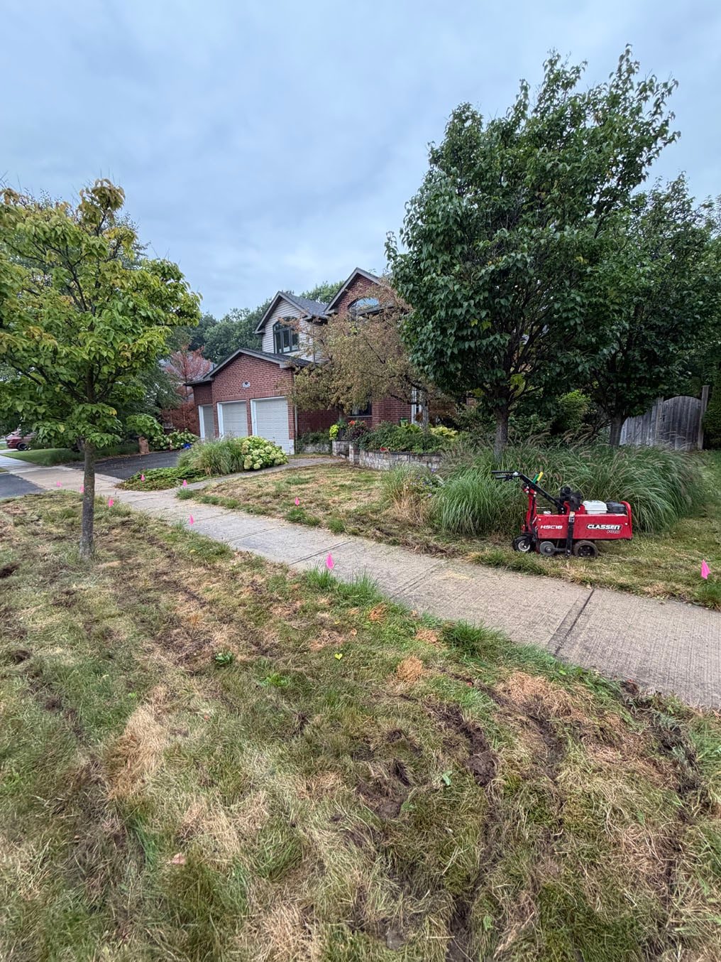 Sod Installation Pioneer Tower West 1 Sod cutter on the old front lawn at a brick home in Pioneer Tower West, Kitchener, on the morning of tear-out