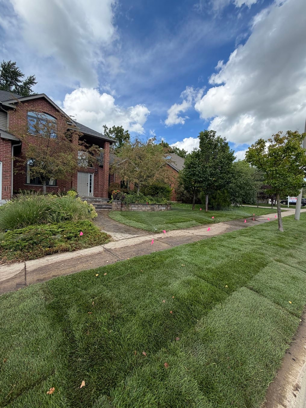 Sod Installation Pioneer Tower West 8 Finished Kentucky bluegrass sod front lawn and boulevard in front of a brick home in Pioneer Tower West, Kitchener