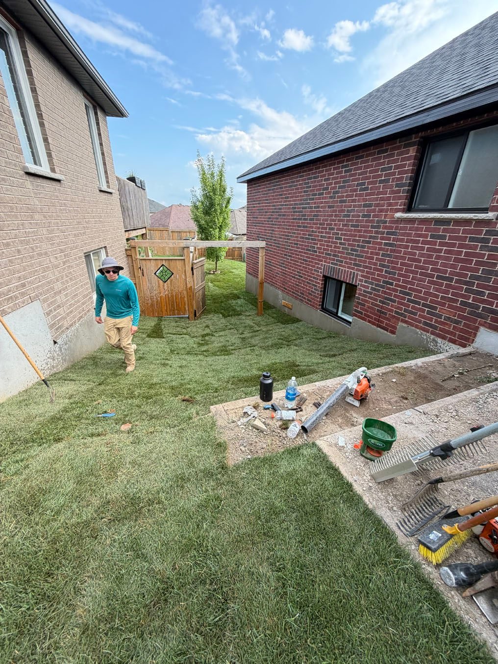 Sod Installation In Plattsville, Ontario 4 Kentucky bluegrass sod laid through the side yard from the pad back under the arbor, a crew member on the new lawn, Plattsville, Ontario