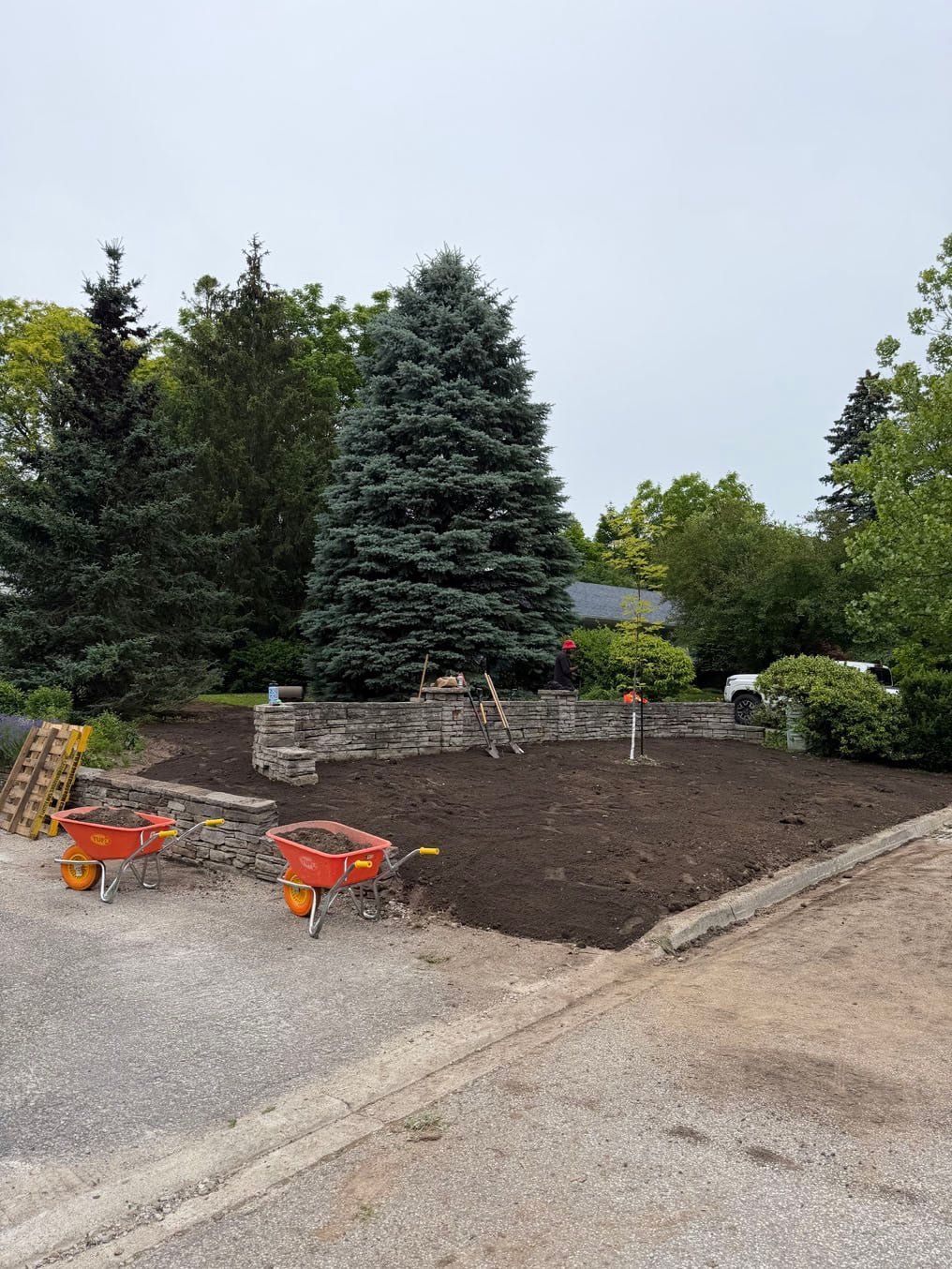 Sod Installation On Stanley Drive, Waterloo 3 Graded topsoil bed above the stone wall seen from the street, wheelbarrows waiting, Stanley Drive, Waterloo