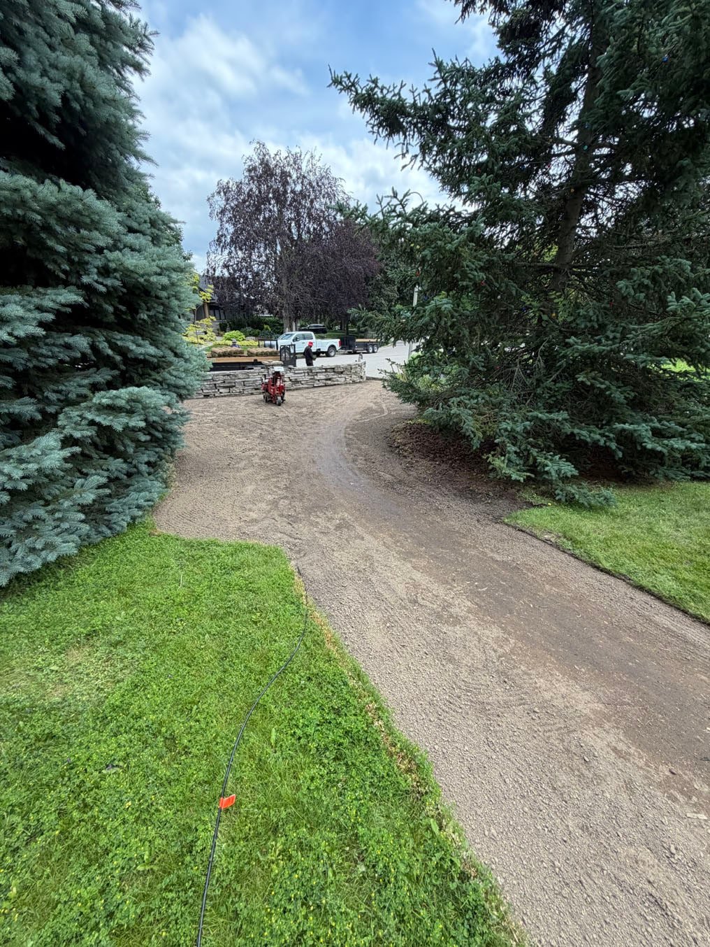 Sod Installation On Stanley Drive, Waterloo 4 New sod laid along the driveway below the spruce and the hedge on Stanley Drive, Waterloo