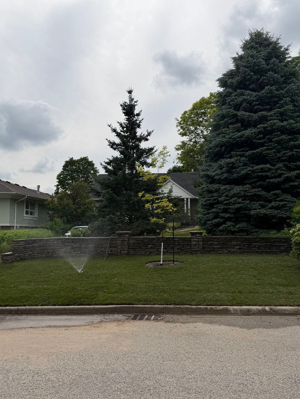 Top Benefits of Sod for a Better Lawn Fast 2 Sprinkler running on the finished sod lawn above the stone retaining wall on Stanley Drive, Waterloo