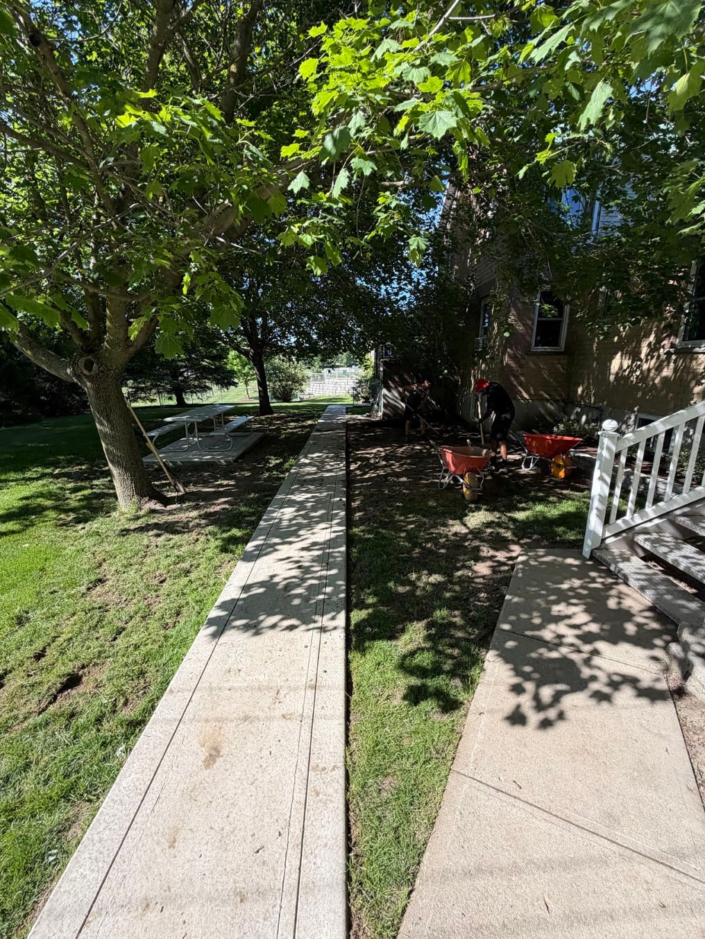 Sod Replacement In Wellesley Township, Ontario 2 Crew with wheelbarrows clearing the strip beside a brick building, the old lawn left of the walkway gouged, Wellesley Township, Ontario