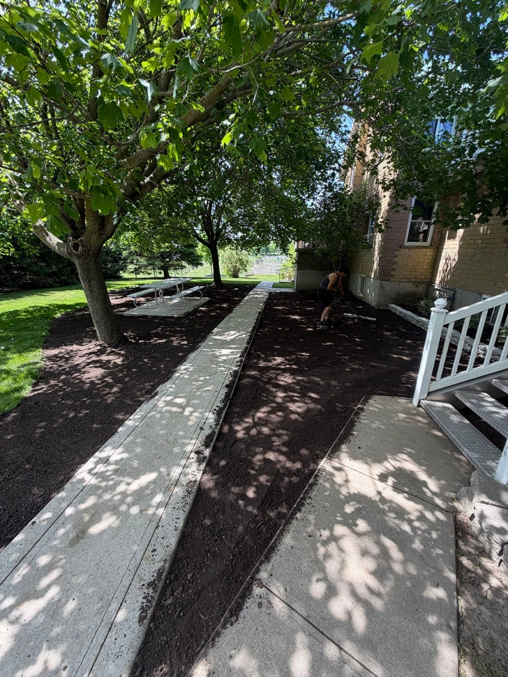 Sod Replacement In Wellesley Township, Ontario 3 Fresh topsoil spread and raked on both sides of the concrete walkway, around the tree and the picnic table, Wellesley Township, Ontario