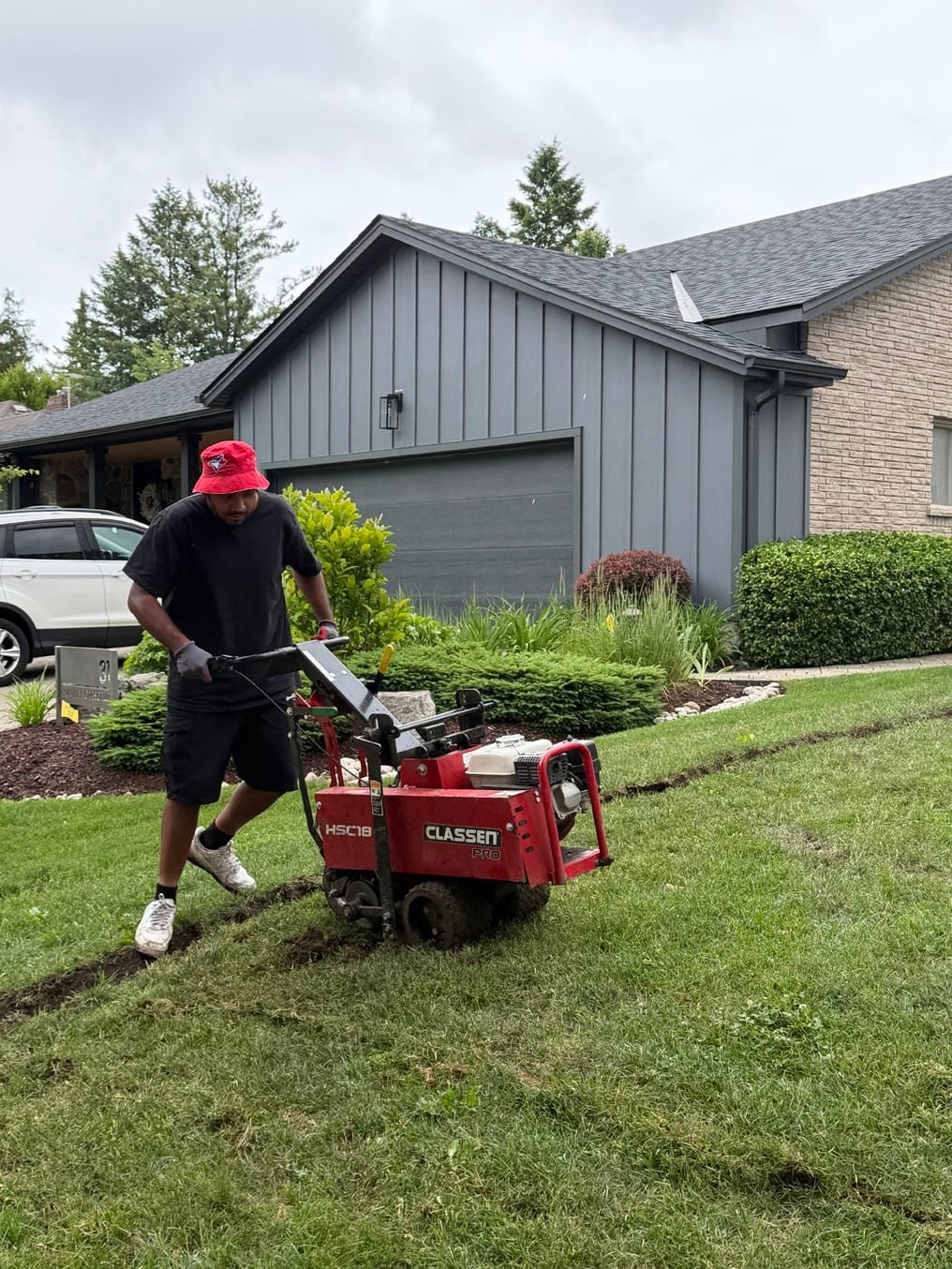 Front Lawn Sod Replacement In Westmount, Kitchener 2 Sod cutter peeling up the old turf in strips beside the driveway of a Westmount, Kitchener home