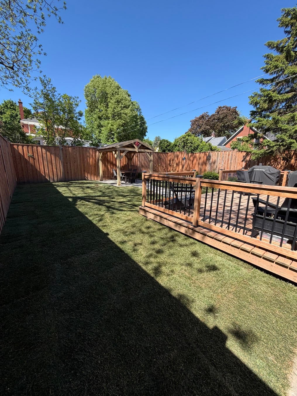 New Kentucky bluegrass sod laid across the back yard between the deck and the gazebo in Westmount, Waterloo