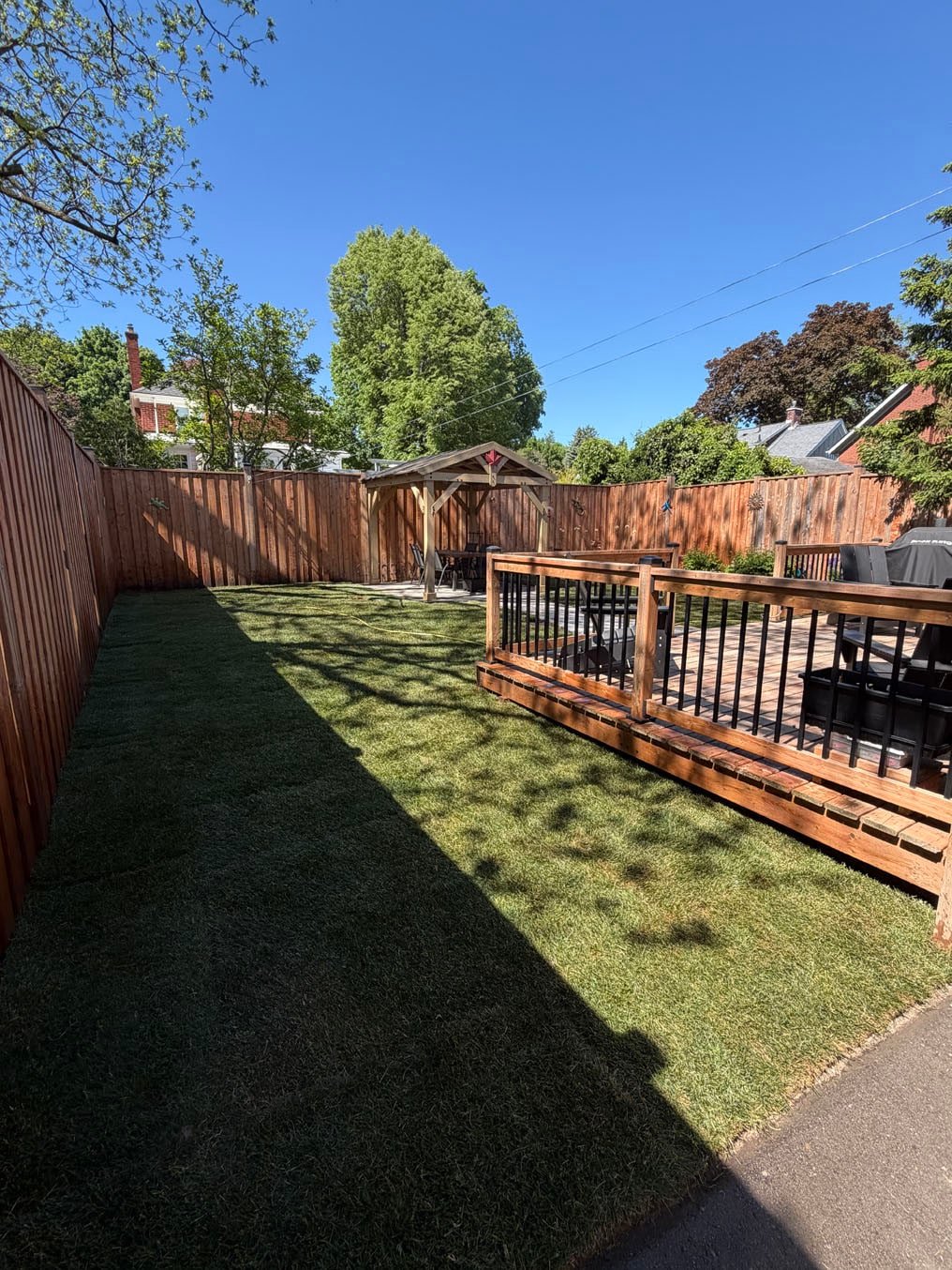 Finished Kentucky bluegrass sod back yard beside the deck with the hose out, Westmount, Waterloo