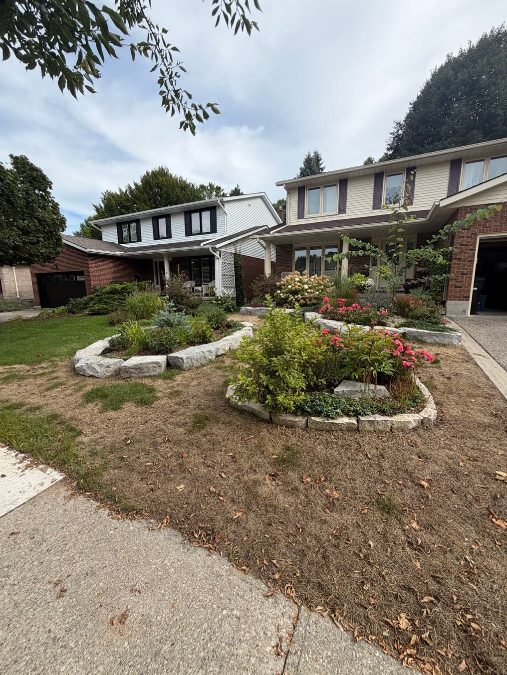 Thin, dried-out front lawn with a bare strip along the sidewalk at a two-storey home on Woodbend Crescent, Waterloo, before sod replacement