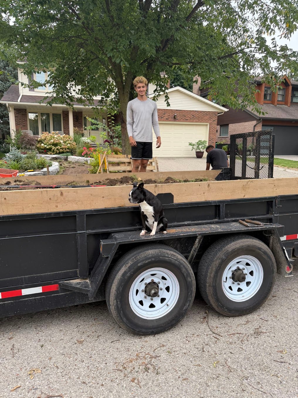 Dump trailer at the curb loaded with the old turf from the Woodbend Crescent, Waterloo lawn, with the crew and their dog beside it